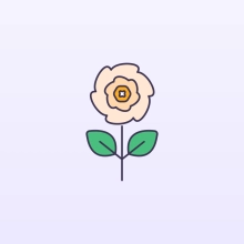 icon2